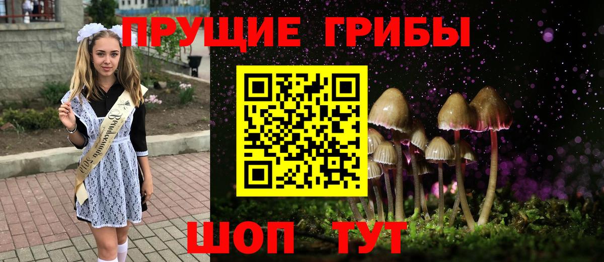 Псилоцибиновые грибы Magic Shrooms  Рубцовск 