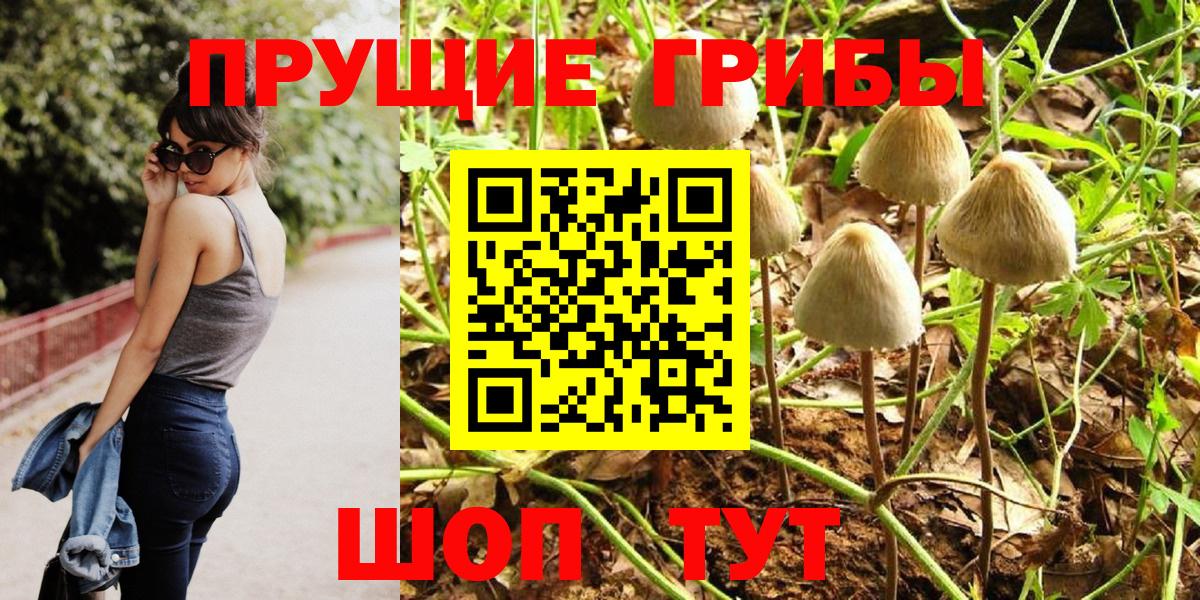 Псилоцибиновые грибы мицелий  Вход с VPN  Рубцовск 